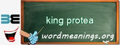 WordMeaning blackboard for king protea
